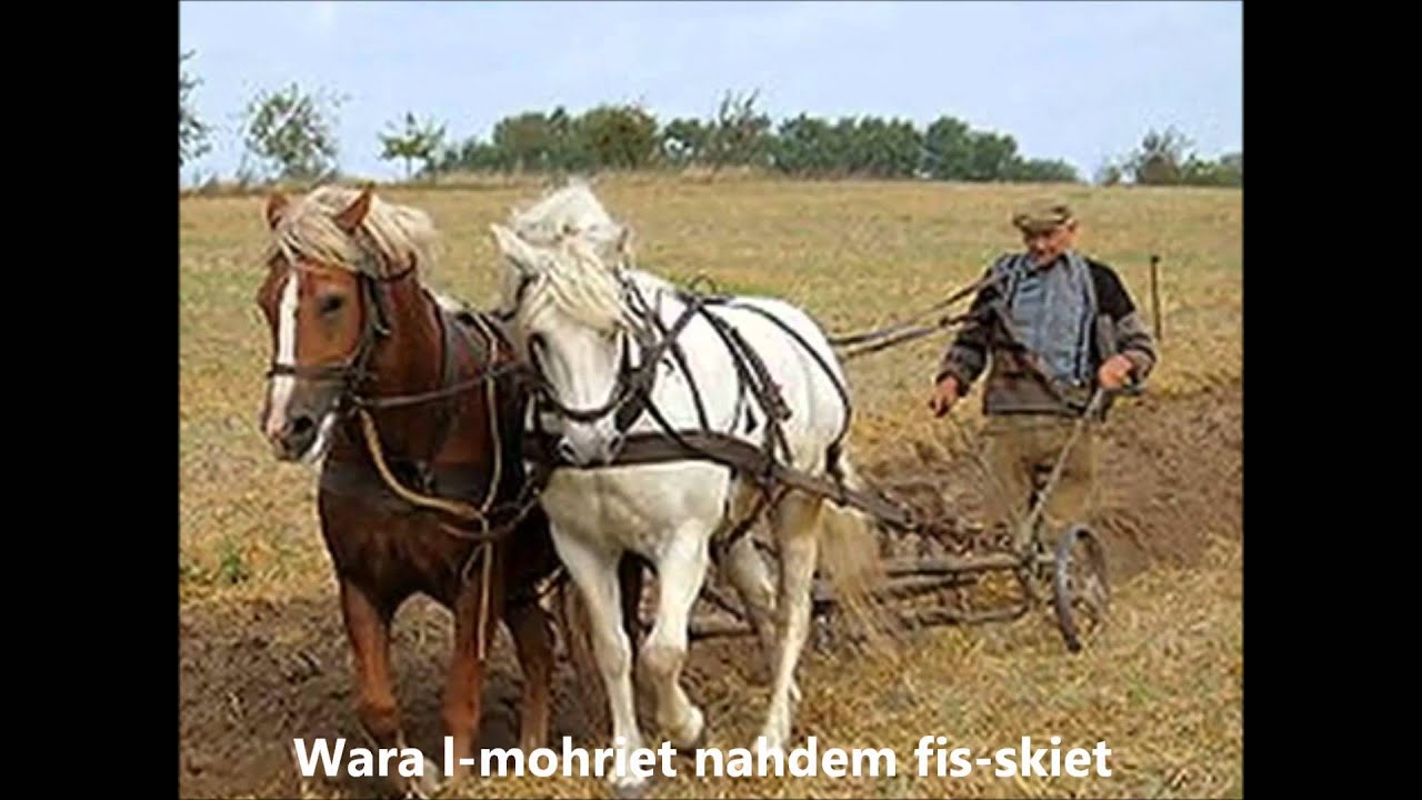 L'ahhar bidwi f'wied il-ghasel. (Maltese Song)