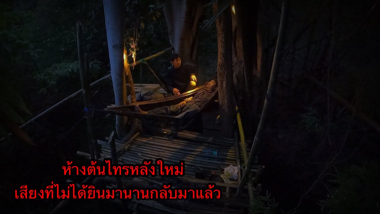 นอนห้างต้นไทรใหม่ กับความหลอนของต้นไทรยักษ์