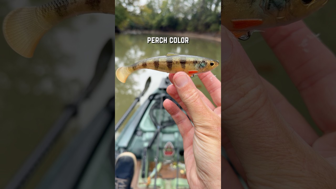 Басс ХОТЕЛ приманку!