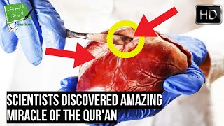 Scientists Discovered Heart Learns And Thinks Miracle Of The Quran