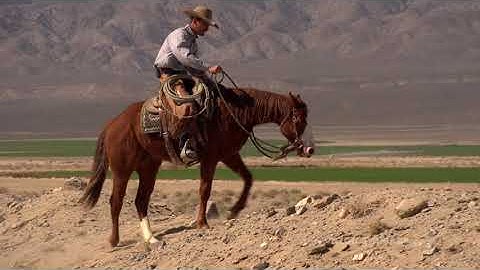 Range Tested — Ditch Work With Nick Dowers