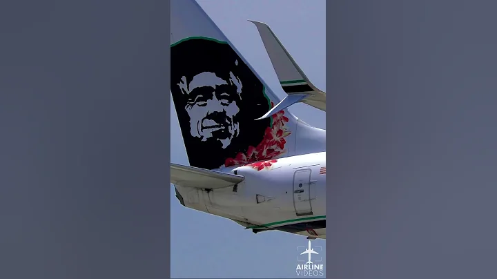 Alaska Airlines HAWAIIAN LEI Boeing 737 - 天天要闻