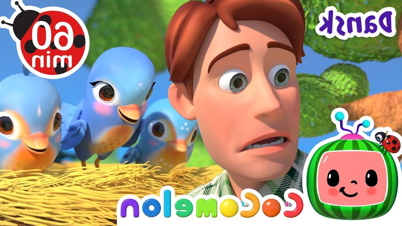 Den lille fugleunge | Børnesange for Babyer | CoComelon DanskKids Cartoon | Funny Cartoon | New Cart