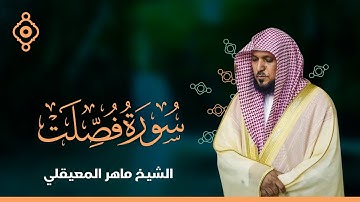 سورة فصلت والشورى والزخرف والدخان والجاثية   - الشيخ ماهر المعيقلي