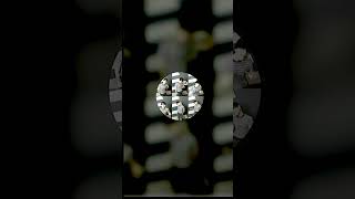 260503 JDH 2