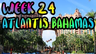 Atlantis Resort!! Sharks, Dolphins, and Our New 360 Camera!! /// WEEK 24 : Atlantis, Bahamas