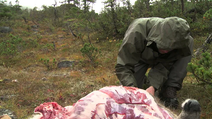 How to Quarter and Pack Game out of the Backcountry - Conservation Field Notes with Steven Rinella