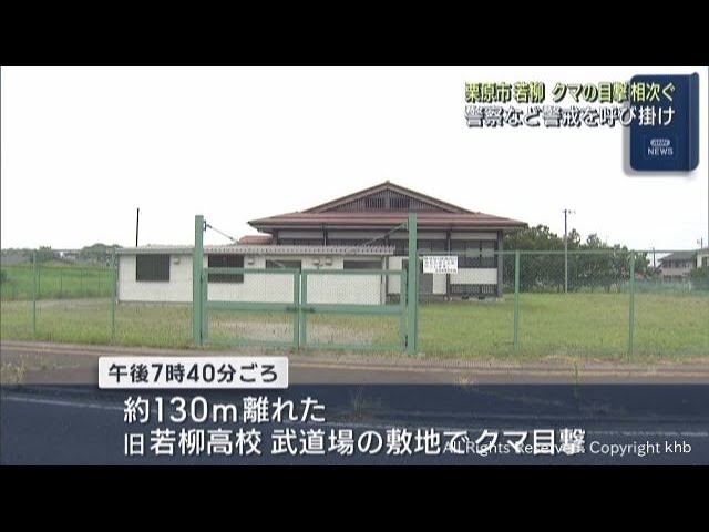 A series of bear sightings were reported in the Wakayagi area of