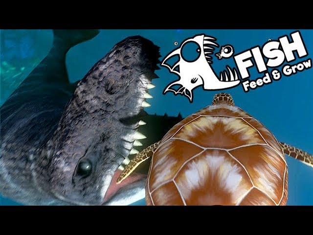 Feed and Grow Fish Gameplay German - Mosasaurus Vs. Sea Turtle
