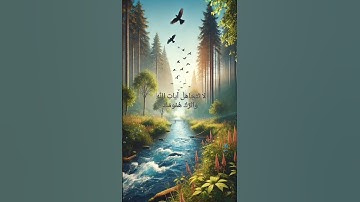 سورة الإنسان (ياسر الدوسري) #قران_كريم #quran #تلاوات #الله #islam #ياسر_الدوسري #قران #اكسبلور