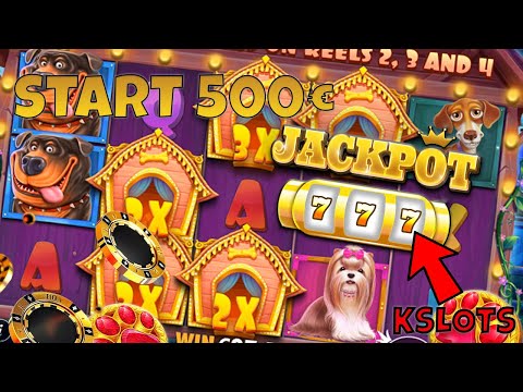 Découvrez ShinyWilds Casino: Jouez aux Meilleurs Jeux de Casino en Ligne en France