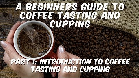 A Beginners Guide to Coffee Tasting and Cupping Part 1: Introduction to Coffee Tasting and Cupping