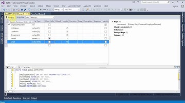 Create Visual Studio 2013 C# Project with Database, Input Form, ListView