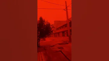 فيلم رعب في الجزائر 