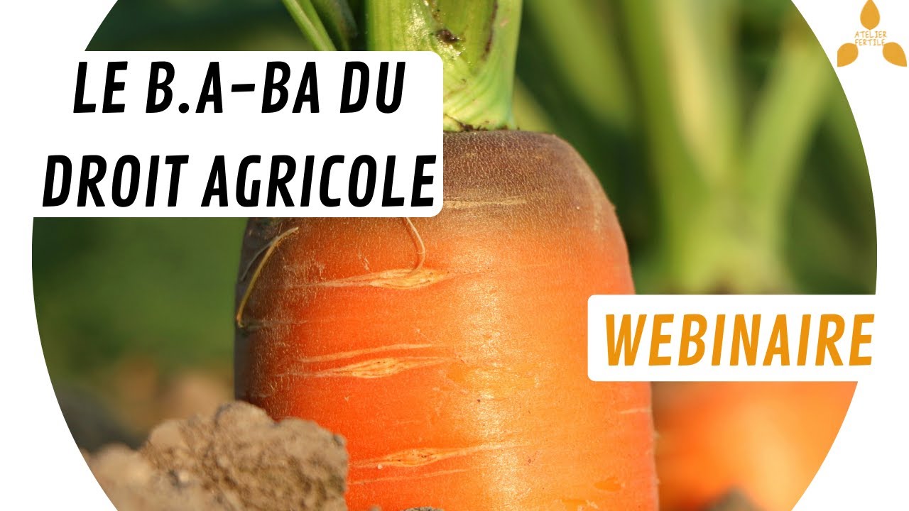 🚜 Webinaire 