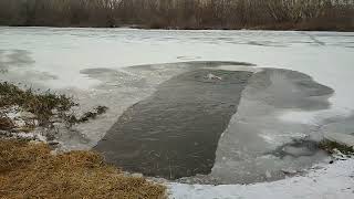 Відеозвіт з святкування Водохреща у Гнівані!