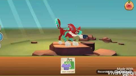 Things we all do when we were new Jammers Animal Jam-Play Wild!