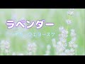 ラベンダー/サカノウエヨースケ /歌ってみた
