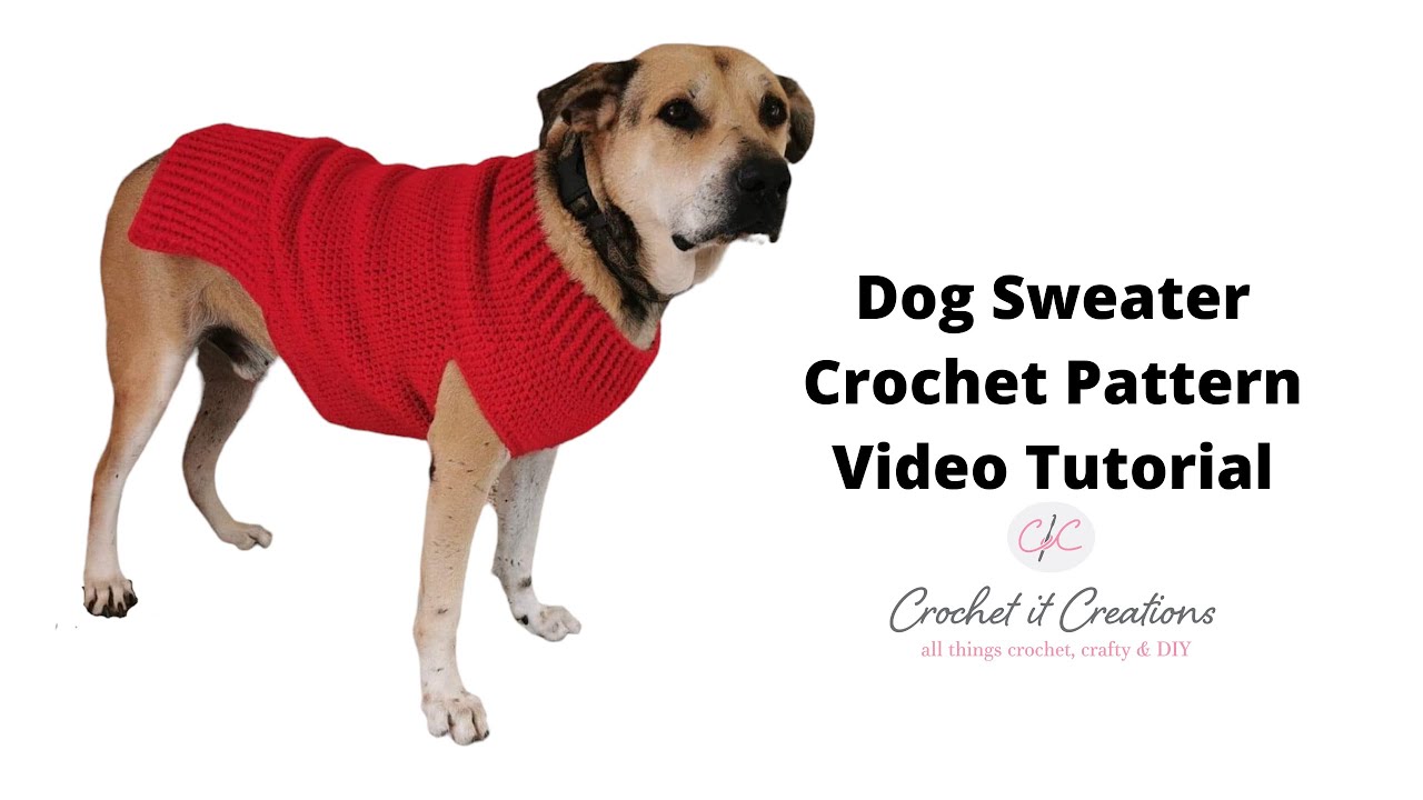 How to Crochet a Dog Cable Sweater - Maria's Blue Crayon