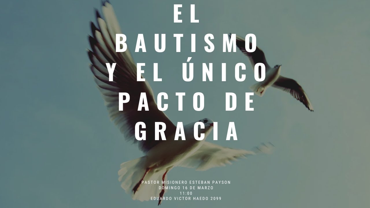 El bautismo y el único pacto de gracia - YouTube