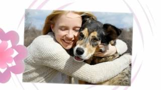 Creature Comforts Animal Hospital - Care to Share Program