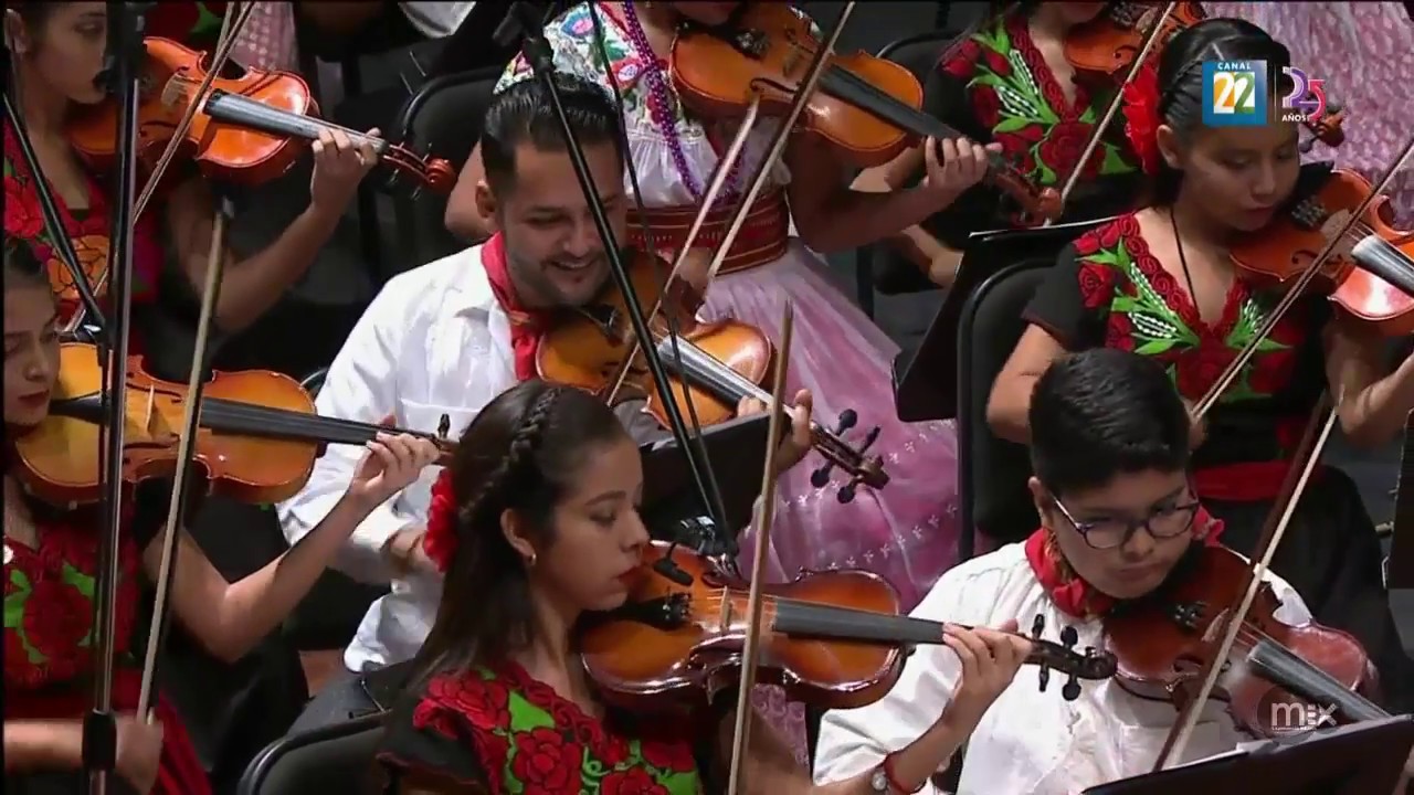 Maestro de Música | Orquesta y Coro de Música Tradicional Mexicana