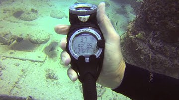 Suunto Cobra underwater view.