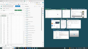 BUA 220 Chapter 2 Guided Assignment