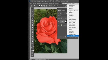 how to change color of flower in photoshop