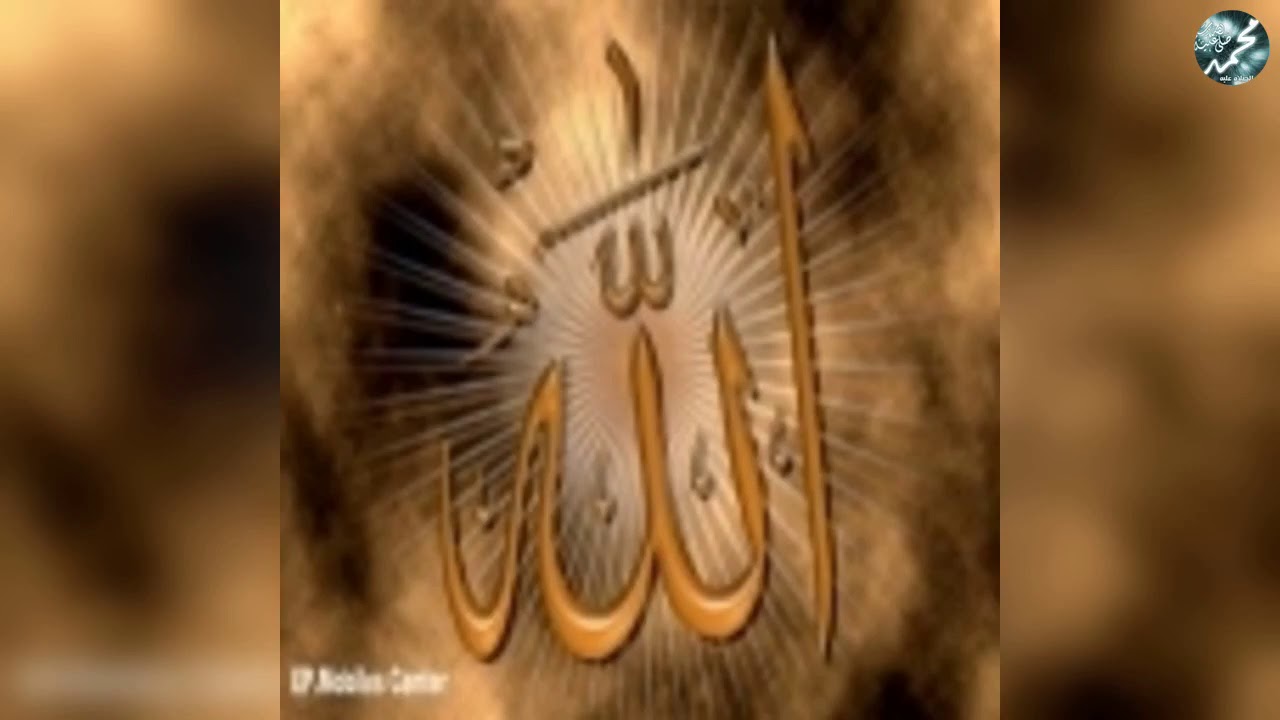 المدينة تبكى محمدا الشيخ ايمن صيدح