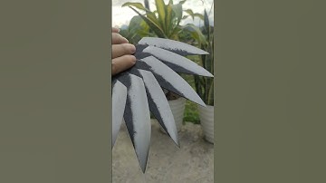 dao loc thịt bò #dao #shortvideo