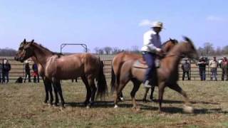 Guy McLean At Priefert Ranch Guy McLean At Priefert Ranch