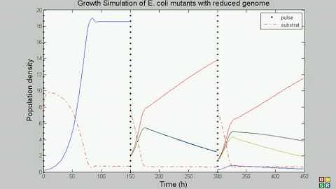 ETH Igem 2008 Simulation