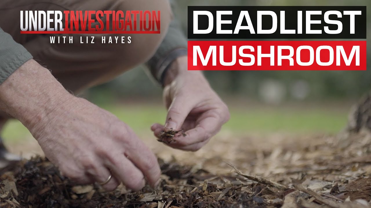 Deadly mushrooms: Everything you need to know | Under Investigation