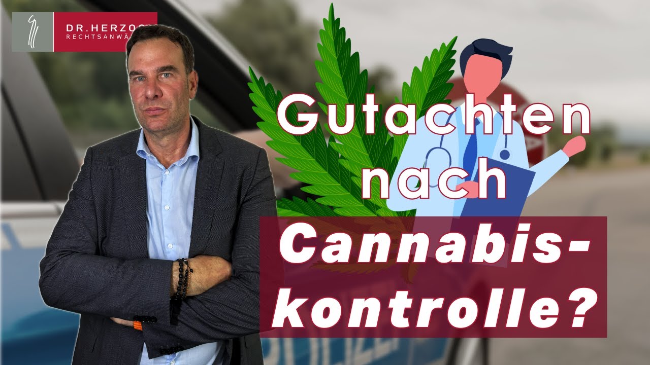 FACHÄRZTLICHES GUTACHTEN nach CANNABISKONTROLLE? So läufts ab! | Dr. Herzog Rechtsanwälte