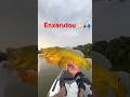 O bruto bateu! 💥🐟 #tucunare #pesca”