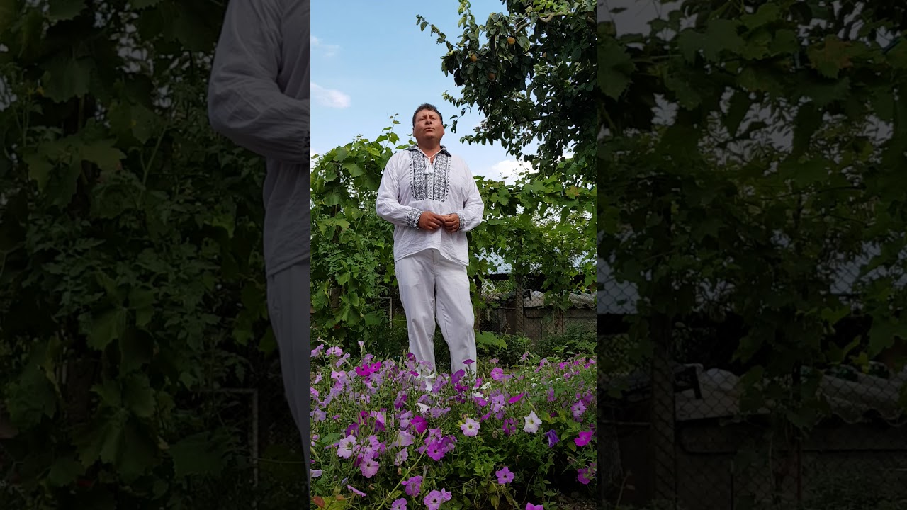 Neluțu de la Pristol