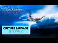 Culture Sauvage - Le Surfeur