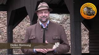 Wild Und Hund Tour 2018 - Ankündigung