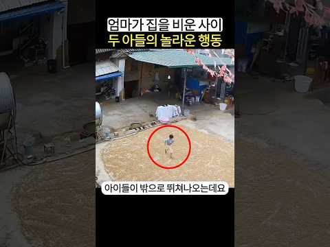 엄마가 집을 비운 사이 어린 아들의 놀라운 행동