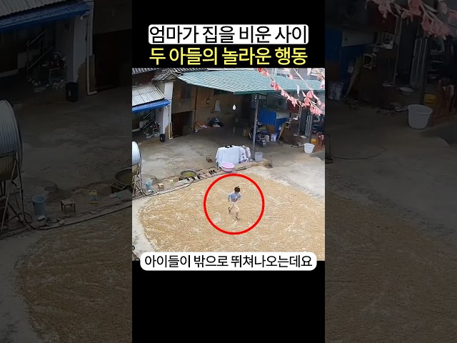 엄마가 집을 비운 사이 어린 아들의 놀라운 행동