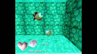 Zygo 3D fish test