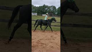Our first time bareback!!!! she was soo good👍👍👍👍