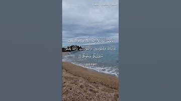 🌺القرآن الكريم 🌺ما تيسر من سورة محمد ●