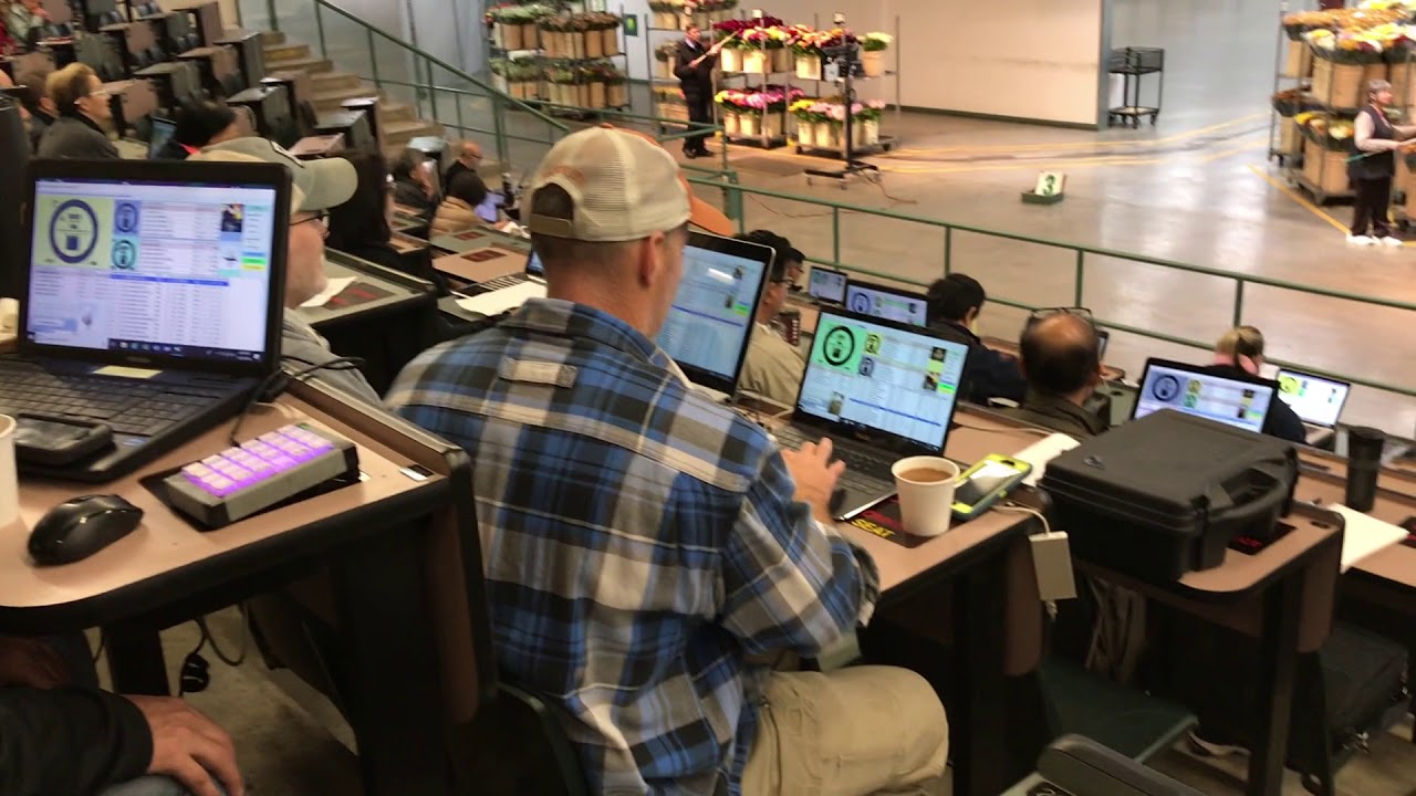 Vancouver Flower Auction