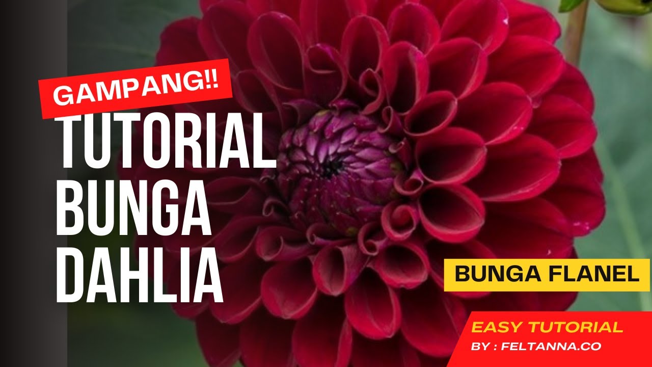 Ready go to ... https://youtu.be/HtkihbAVbbg [ DIY - Tutorial cara membuat bunga dahlia dari kain flanel | How to make felt flower : Dahlia | felt]