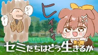 戌神ころねの配信のサムネイル画像