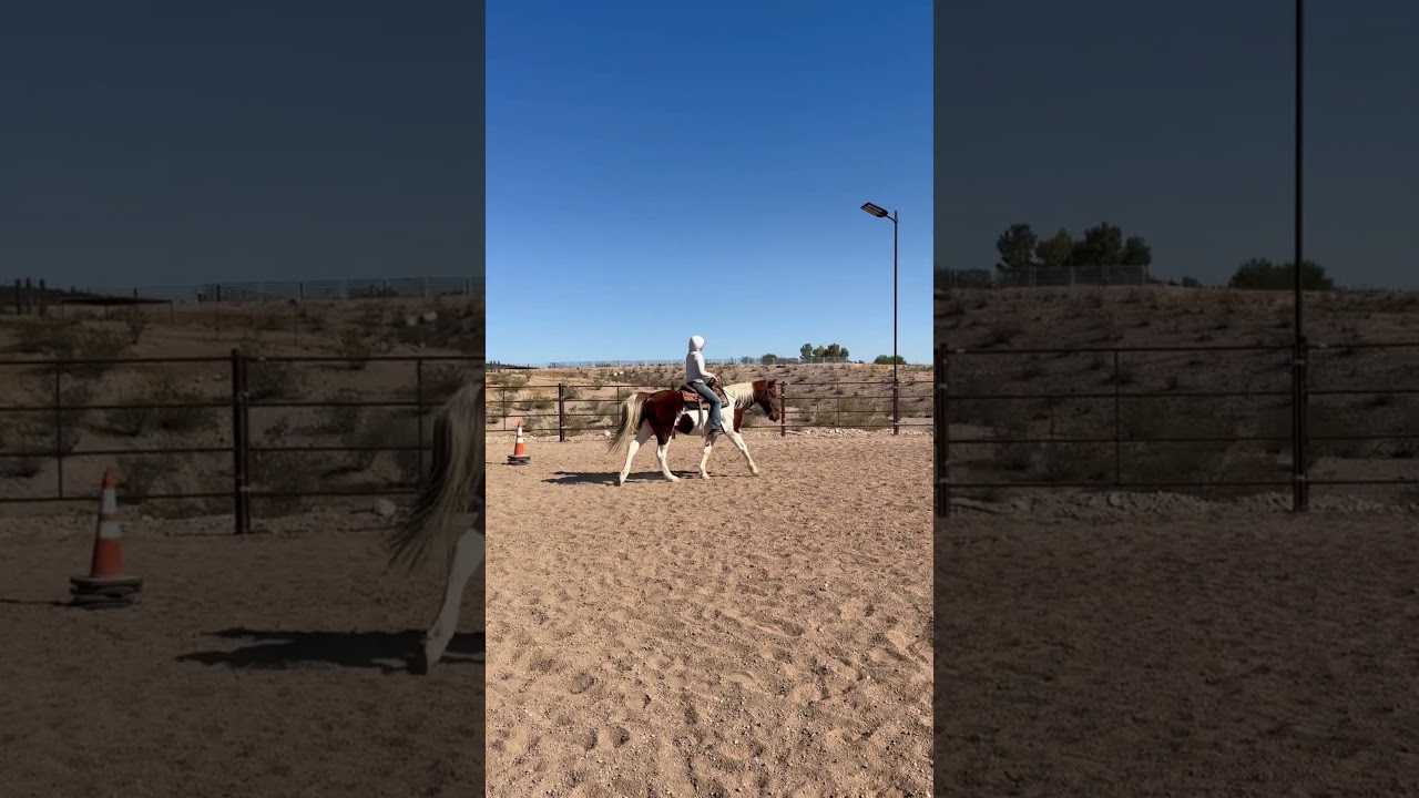 Splash - This video contains music from Shutterstock, licensed by Splice video editing app.