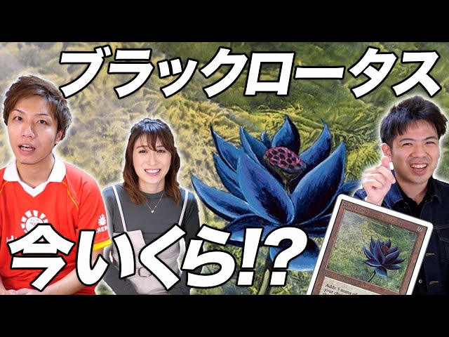 Big upset!?] A quiz to guess MTG prices between a total expert and