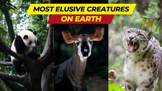 The Most Elusive Creatures on Earth: Secrets of the Hidden Realm